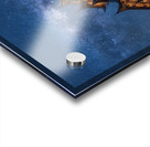 China Nights Acrylic print