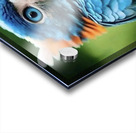 Baby  Blue Owl  Acrylic print