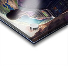 THE WORLD IS MINES Acrylic print