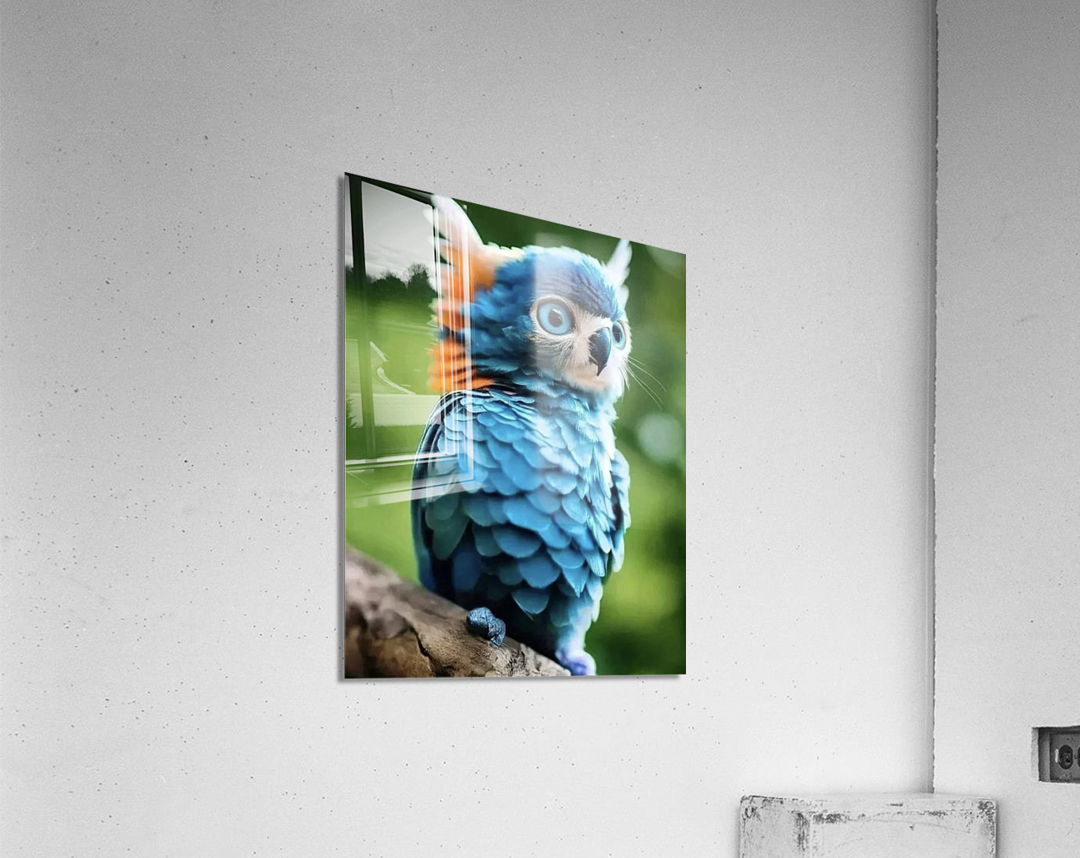 Baby  Blue Owl  Acrylic Print