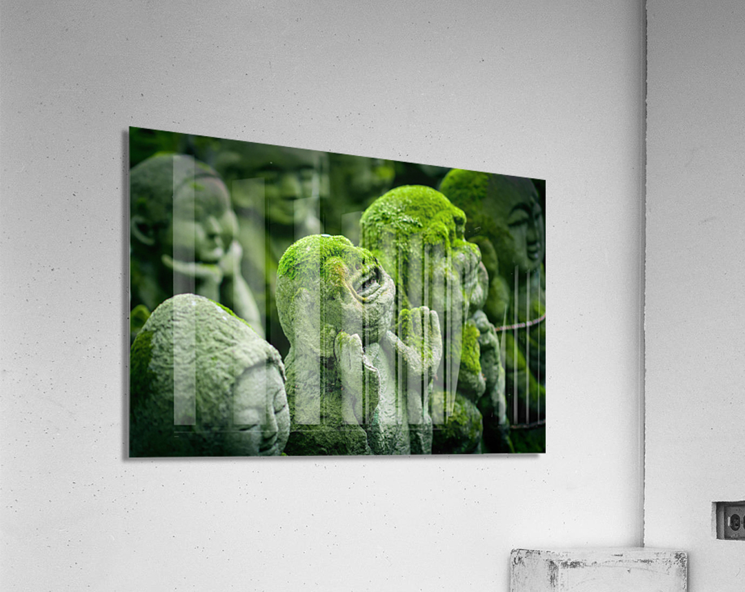 Green Asians  Acrylic Print