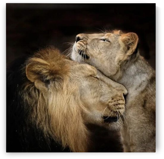 Lions Den by Gregory Michael 88 Art Studio