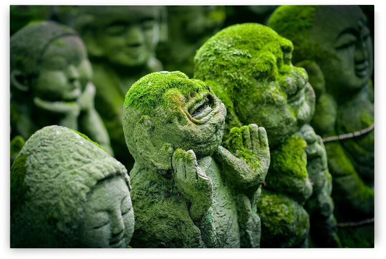 Green Asians  by Gregory Michael 88 Art Studio