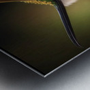 My Peco bird  Metal print