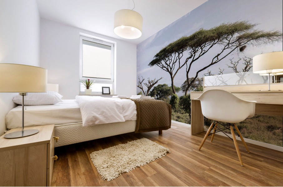 Zebra in the wilderness  Mural print