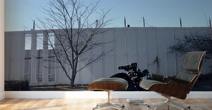 Bikes And Flights Wall Murals