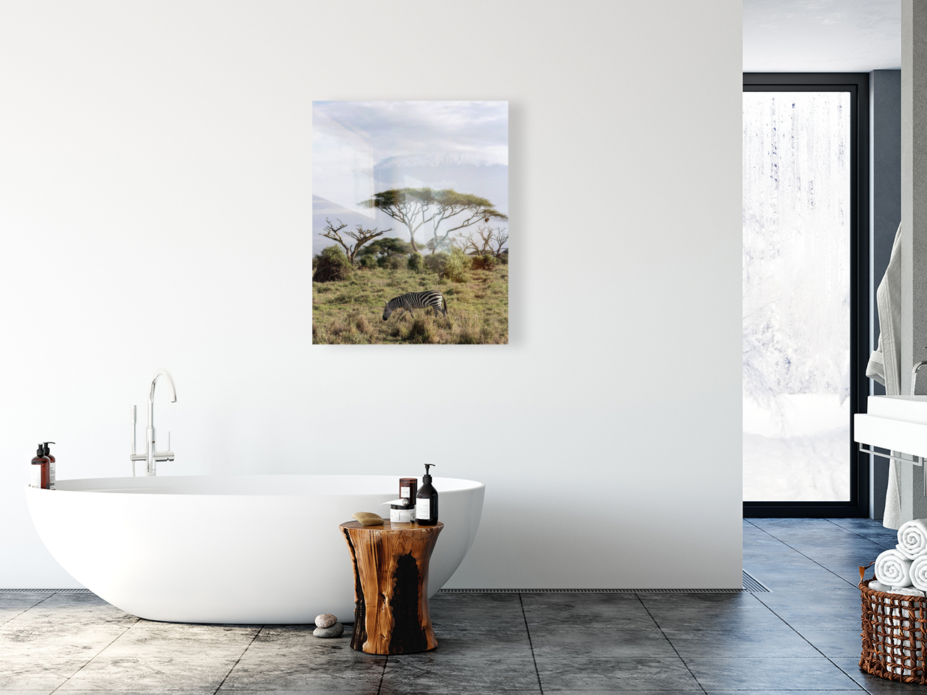 Zebra in the wilderness  Reproduction