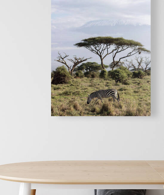 Zebra in the wilderness  by Gregory Michael 88 Art Studio