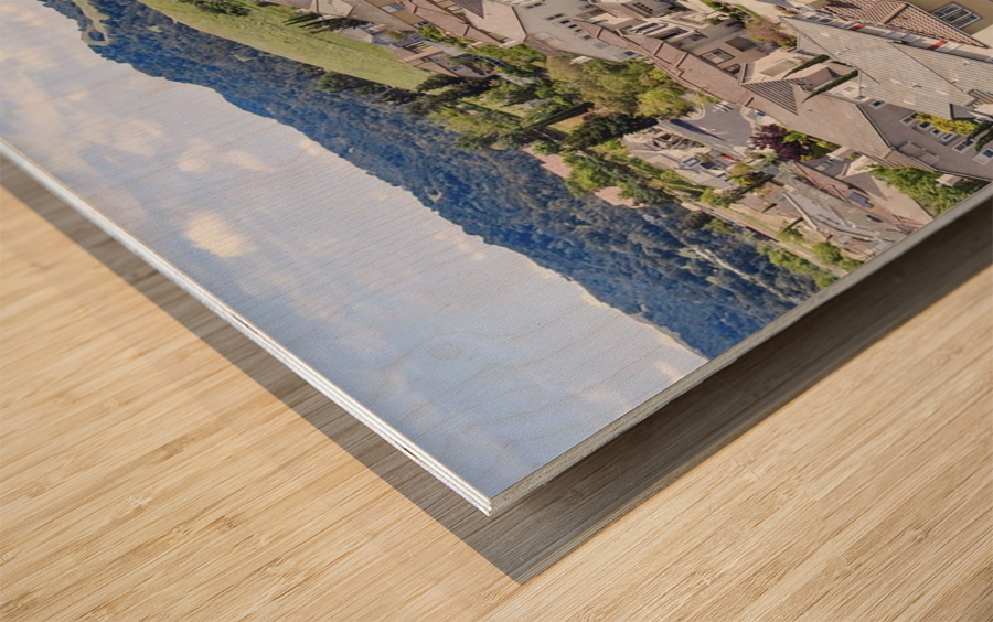 My Neighborhood  Wood print