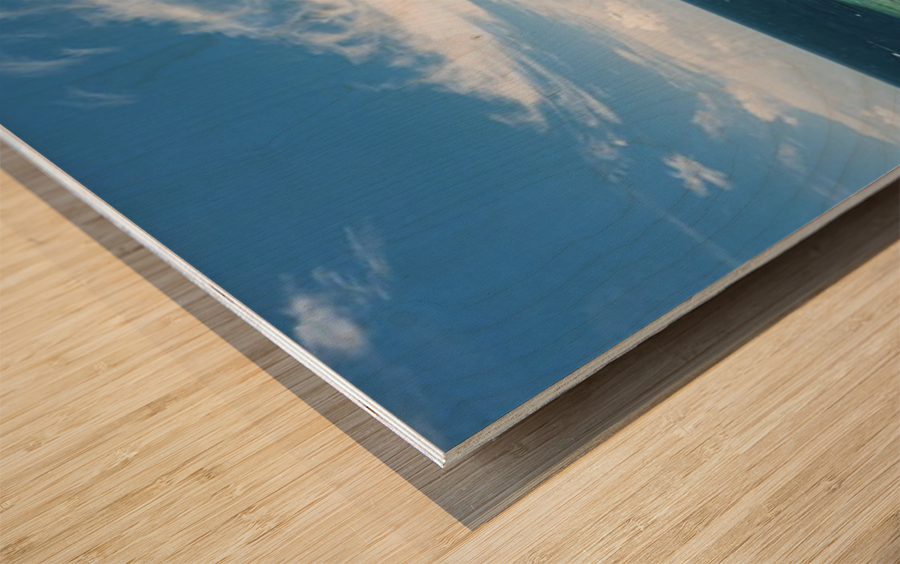 Beach Vibe Wood print