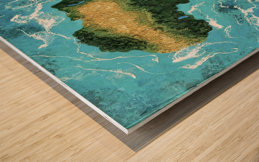 Africa Grass  Wood print