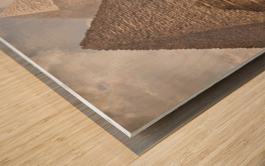 Pyrimids  Wood print